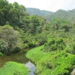 la Colombie renferme 5% de la biodiversite sur terre