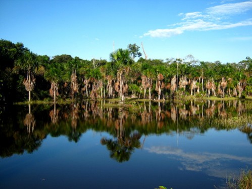 Le parc, peut montagneux renferme de nombreux marais