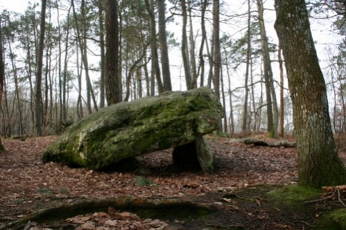 dolmen de la Pierre Procureuse, dans le Perche