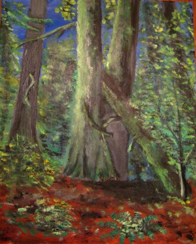 forêt de "Red-Cedar" walker-Island